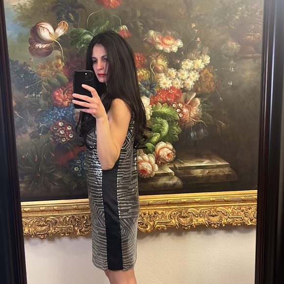 NWT $495 Ramy Brook Lola Dress - Picture 6 of 9